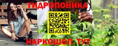 амф Новодвинск