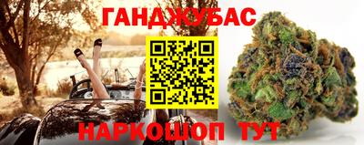 амф Новодвинск