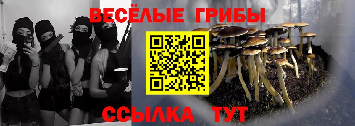 купить   Псилоцибиновые грибы мицелий  Дагестанские Огни  Вход с VPN  Псилоцибиновые грибы Psilocybe 